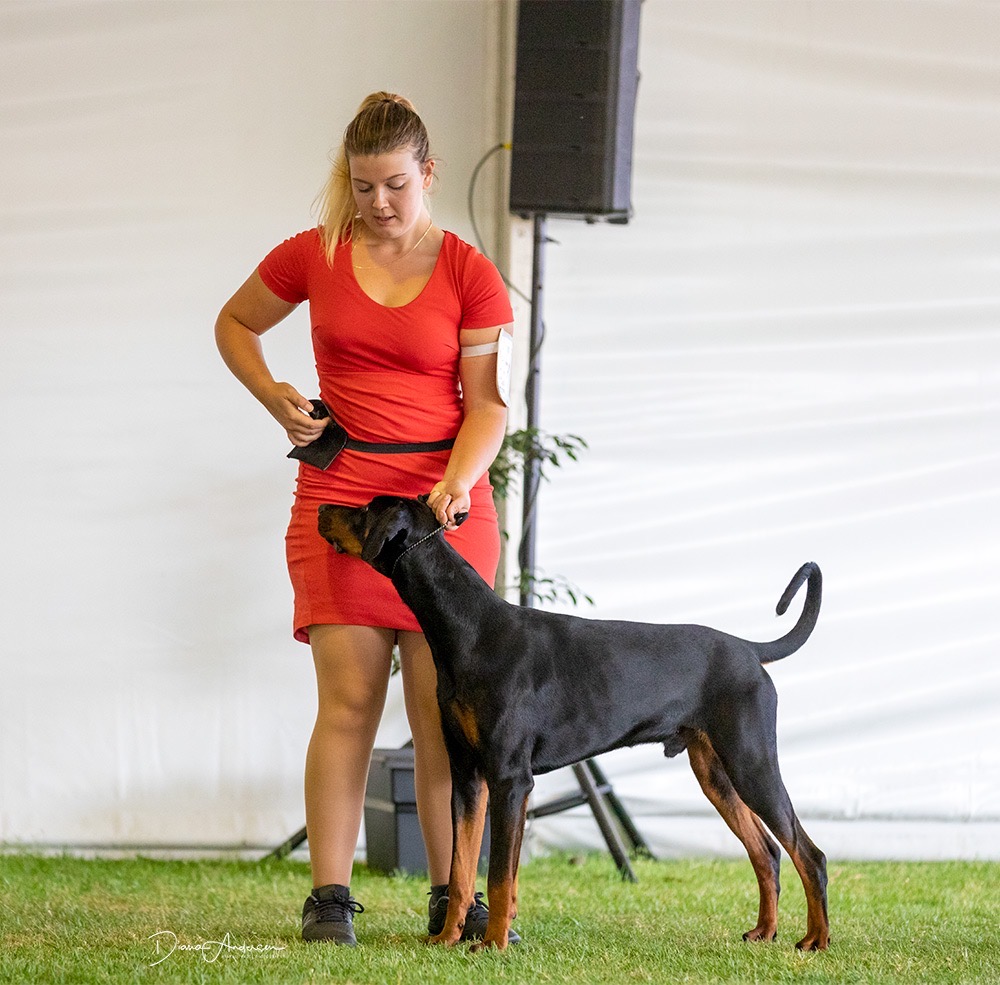 Marisa Wood showing a doberman